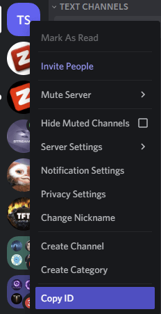 How to report a Discord server?