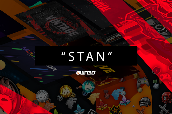 stan Meaning