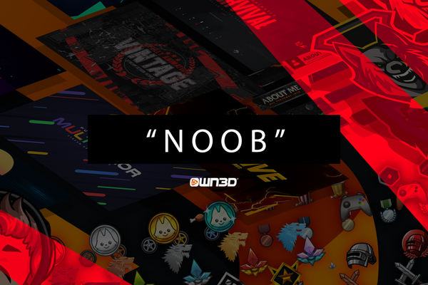 Noob Meaning